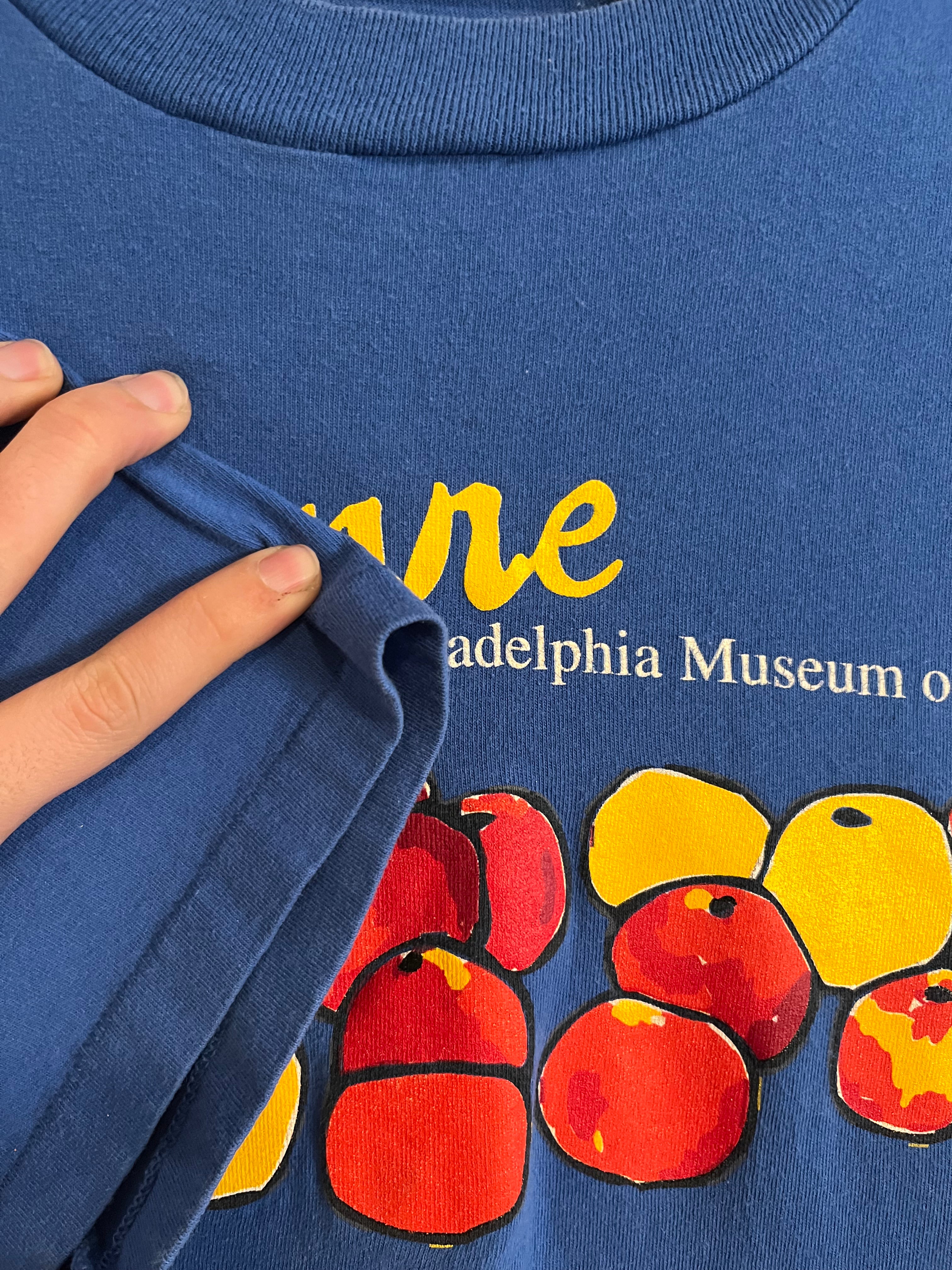 90s Single Stitch Cezanne Still Life Philadelphia Museum of Art T-Shirt - Blue - L/XL