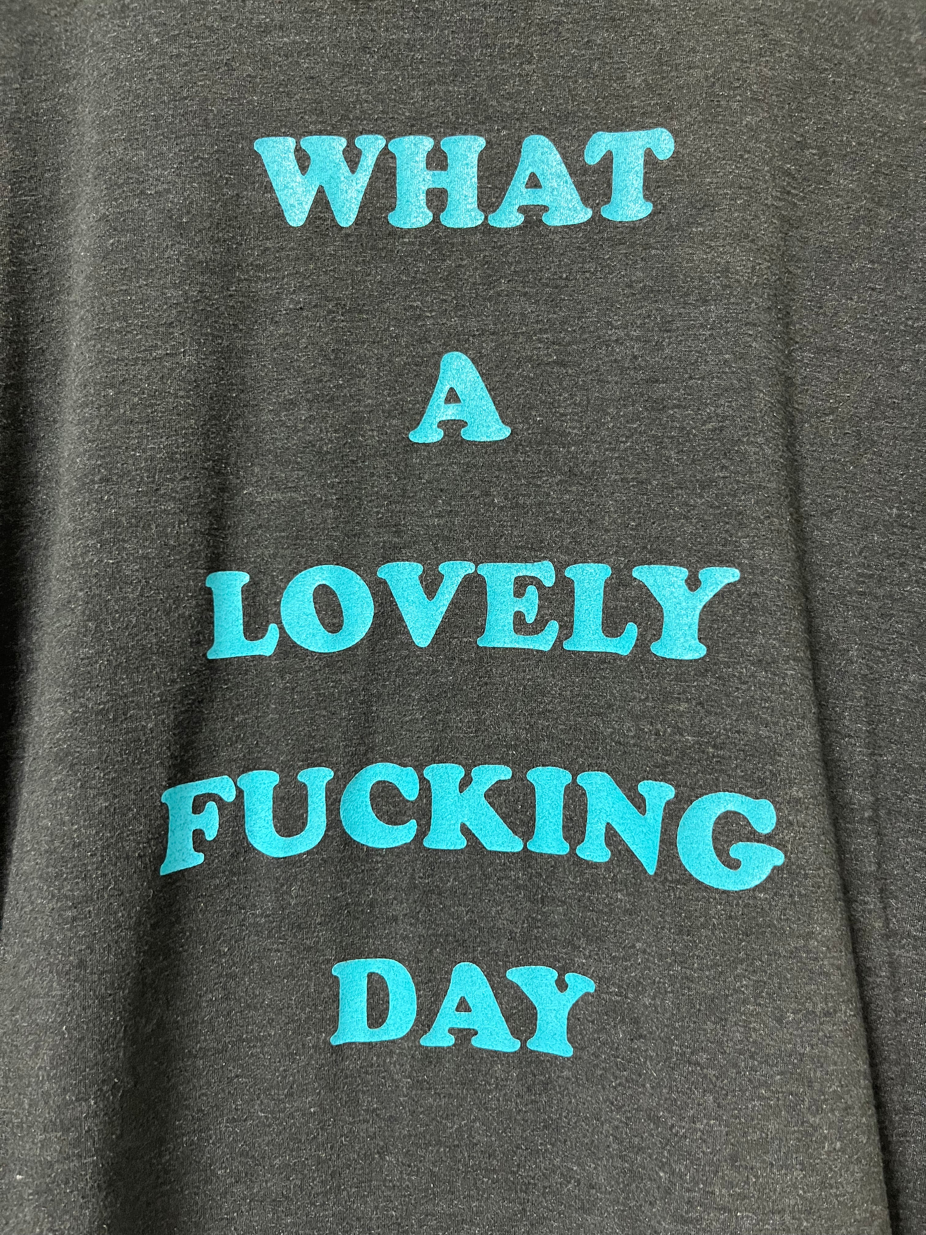 90s ‘What a Lovely Fucking Day’ Novelty T-Shirt - Faded Black/Charcoal - XL